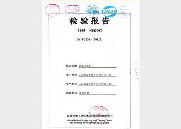檢測報告